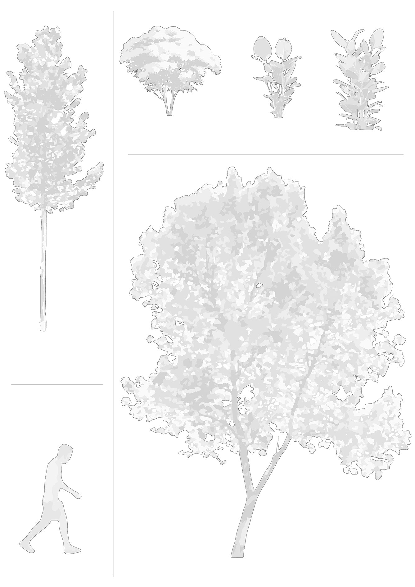 DWG 2.1 | ESSENTIAL KIT