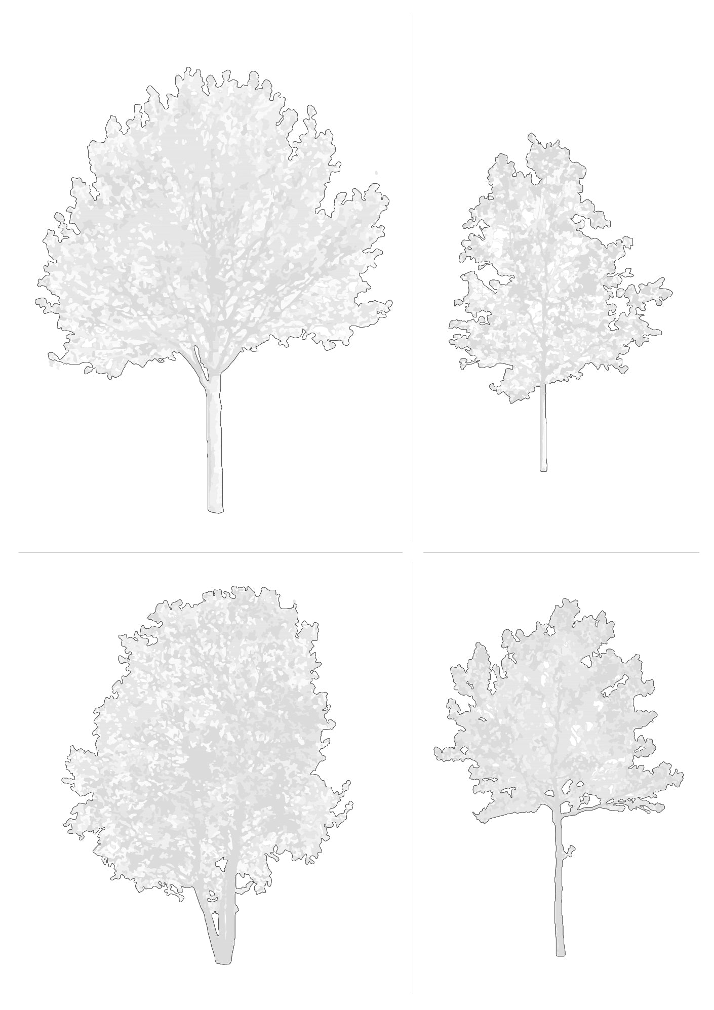 DWG 2.3 | PRO PACKAGE