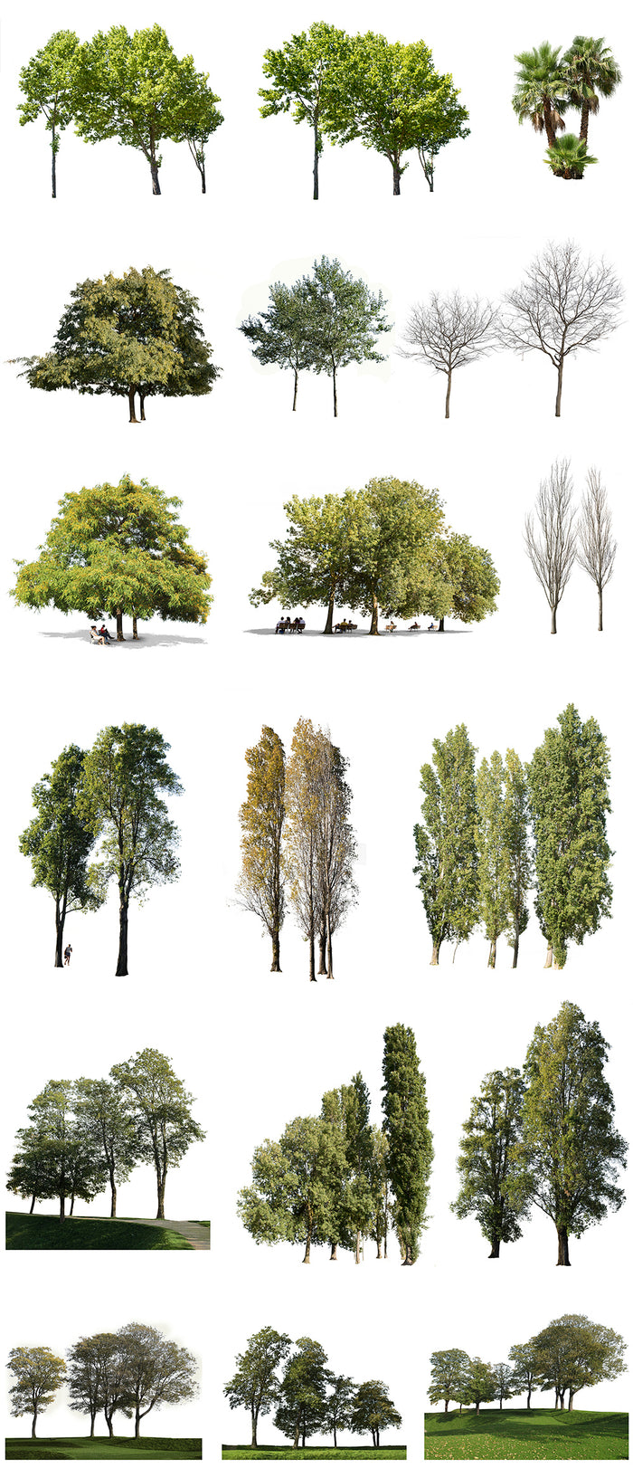 Tree groups | Package – Cutout|trees