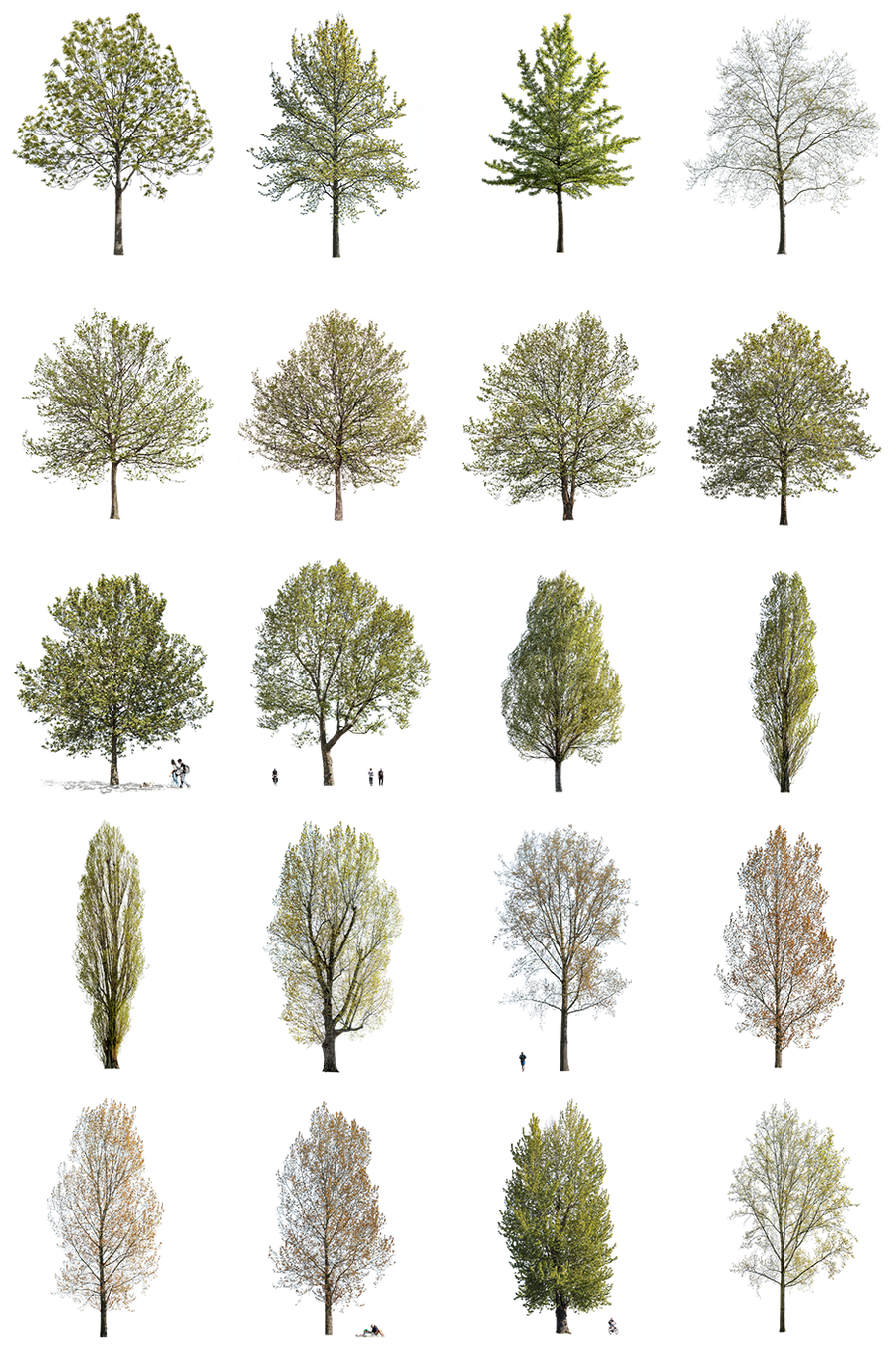 12 Large Trees Pack – Cutout|trees