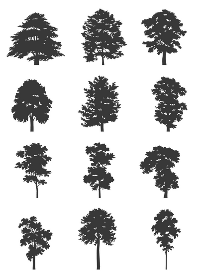 DWG Vectorial 1- Large Trees – Cutout|trees