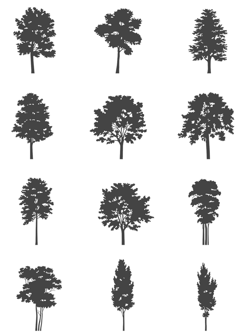 DWG Vectorial 2 - Medium Trees – Cutout|trees