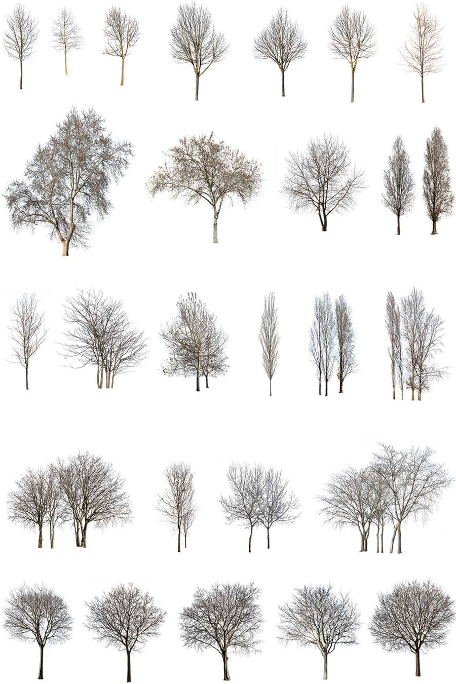 WINTER 1 | Diverse trees Package – Cutout|trees