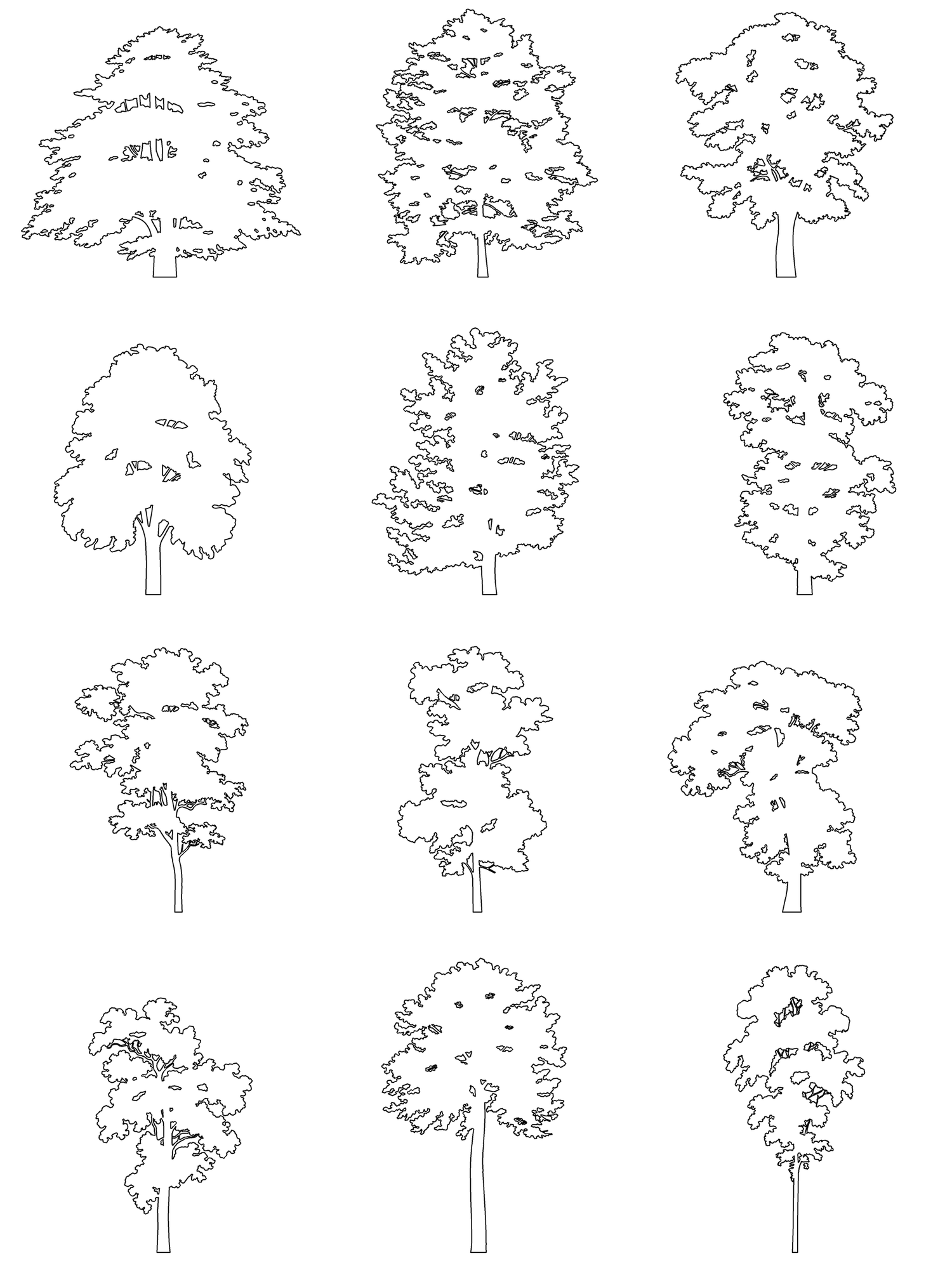 DWG Vectorial 1- Large Trees – Cutout|trees