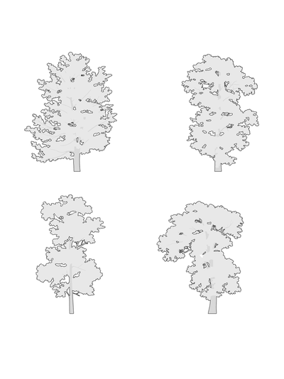 DWG Vectorial 1- Large Trees – Cutout|trees