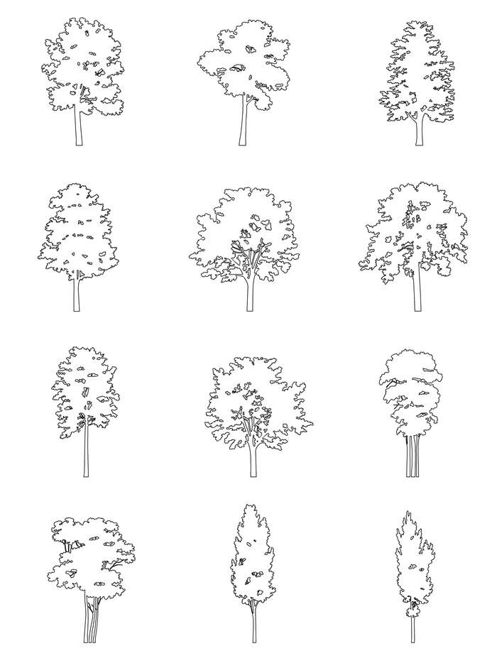 Dwg Vectorial 2 - Medium Trees – Cutout