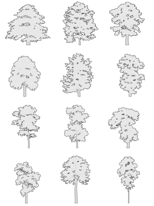 DWG Vectorial 1- Large Trees – Cutout|trees