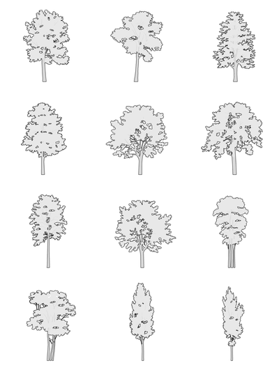 DWG Vectorial 2 - Medium Trees – Cutout|trees