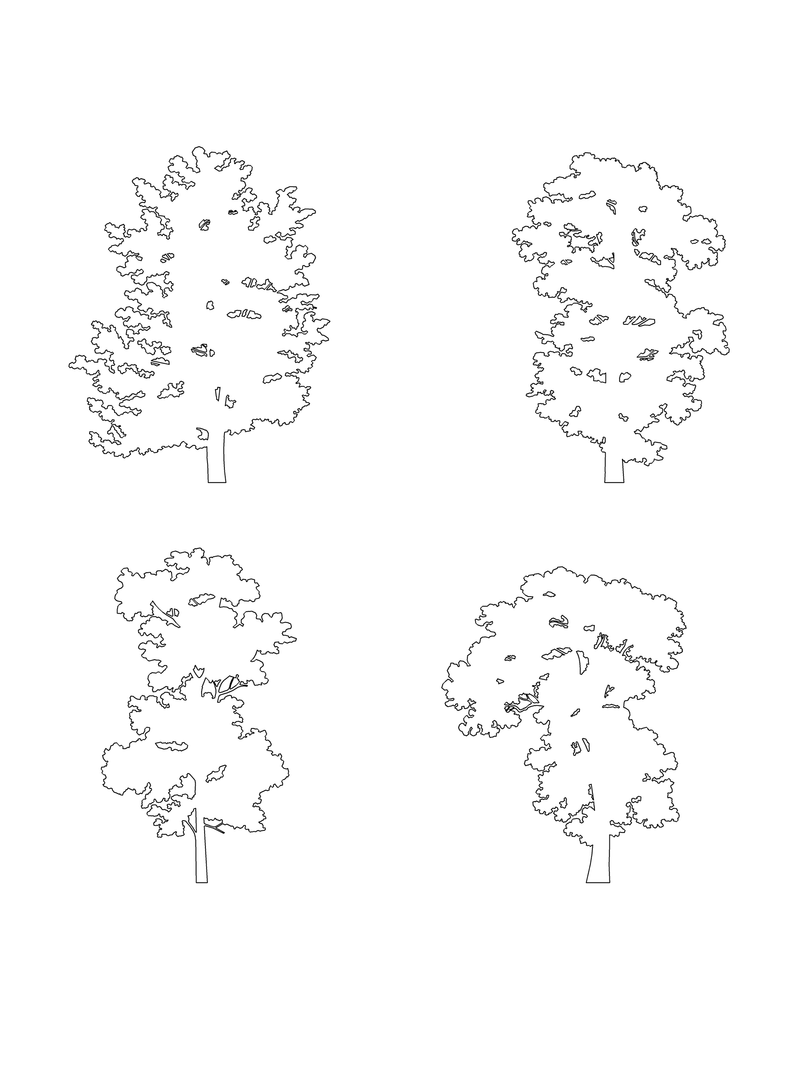 DWG Vectorial 1- Large Trees – Cutout|trees